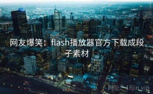 网友爆笑：flash播放器官方下载成段子素材