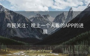 市民关注：晚上一个人看的APP的进展